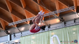 aere trampoline cup tra tum dmt ph by tomasi simone ferraro   fgi 